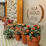 Zrodlo & * Krynica Zdroj