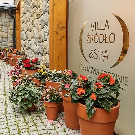 Zrodlo & * Krynica Zdroj